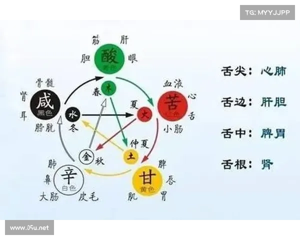 福胆养生之道探秘:全面解析福胆对健康的影响与保养方法